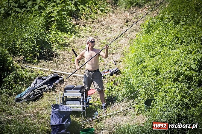 Zdjęcie w galerii na portalu naszraciborz.pl: Puchar Starosty w wędkarstwie spławikowym wręczony. Najlepszy Sebastian Omachel wiadomości z regionu