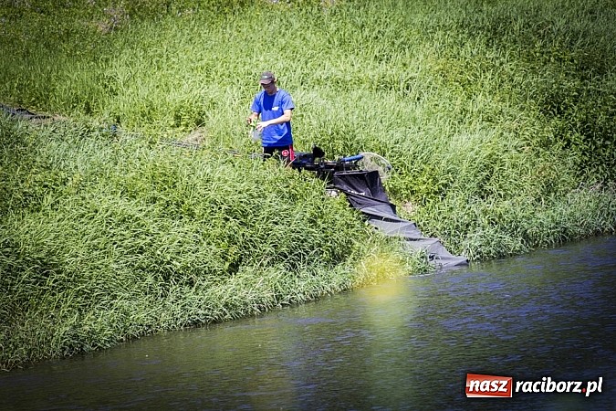 Zdjęcie w galerii na portalu naszraciborz.pl: Puchar Starosty w wędkarstwie spławikowym wręczony. Najlepszy Sebastian Omachel wiadomości z regionu