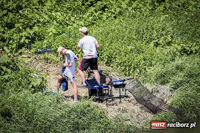 Zdjęcie w galerii na portalu naszraciborz.pl: Puchar Starosty w wędkarstwie spławikowym wręczony. Najlepszy Sebastian Omachel wiadomości z regionu