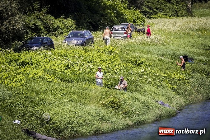 Zdjęcie w galerii na portalu naszraciborz.pl: Puchar Starosty w wędkarstwie spławikowym wręczony. Najlepszy Sebastian Omachel wiadomości z regionu