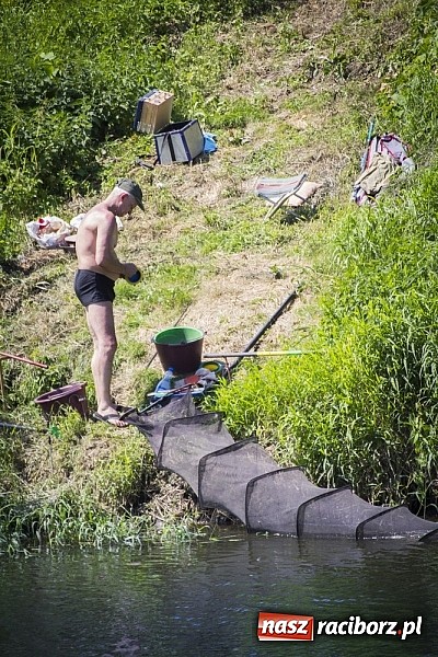 Zdjęcie w galerii na portalu naszraciborz.pl: Puchar Starosty w wędkarstwie spławikowym wręczony. Najlepszy Sebastian Omachel wiadomości z regionu