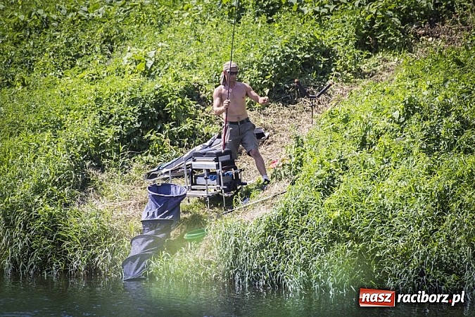 Zdjęcie w galerii na portalu naszraciborz.pl: Puchar Starosty w wędkarstwie spławikowym wręczony. Najlepszy Sebastian Omachel wiadomości z regionu