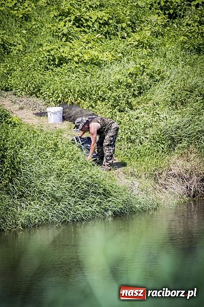Zdjęcie w galerii na portalu naszraciborz.pl: Puchar Starosty w wędkarstwie spławikowym wręczony. Najlepszy Sebastian Omachel wiadomości z regionu