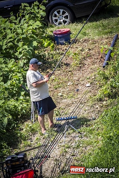 Zdjęcie w galerii na portalu naszraciborz.pl: Puchar Starosty w wędkarstwie spławikowym wręczony. Najlepszy Sebastian Omachel wiadomości z regionu