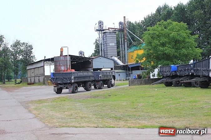 Zdjęcie w galerii na portalu naszraciborz.pl: W Agromaxie będą suszyć zboże wykorzystując gaz. Nowa inwestycja oddana do użytku wiadomości z regionu