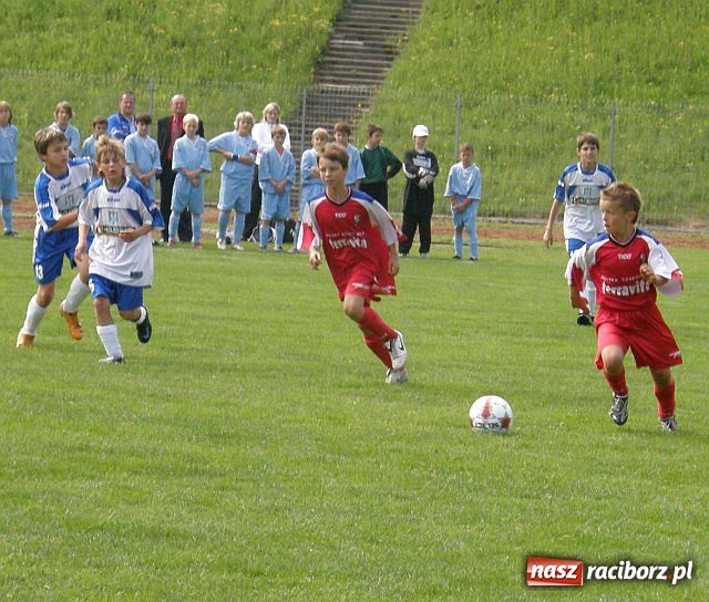Zdjęcie w galerii na portalu naszraciborz.pl: Drużyna Fotbal Frydek - Mistek najlepsza wiadomości z regionu