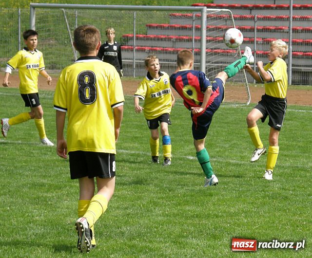 Zdjęcie w galerii na portalu naszraciborz.pl: Drużyna Fotbal Frydek - Mistek najlepsza wiadomości z regionu