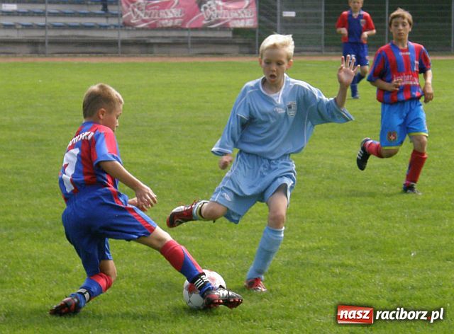 Zdjęcie w galerii na portalu naszraciborz.pl: Drużyna Fotbal Frydek - Mistek najlepsza wiadomości z regionu