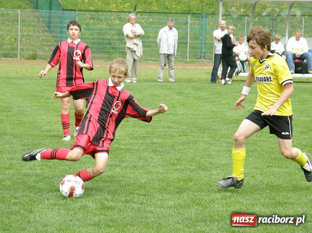 Zdjęcie w galerii na portalu naszraciborz.pl: Drużyna Fotbal Frydek - Mistek najlepsza wiadomości z regionu