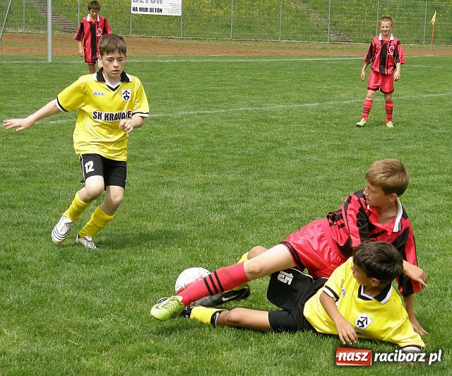 Zdjęcie w galerii na portalu naszraciborz.pl: Drużyna Fotbal Frydek - Mistek najlepsza wiadomości z regionu