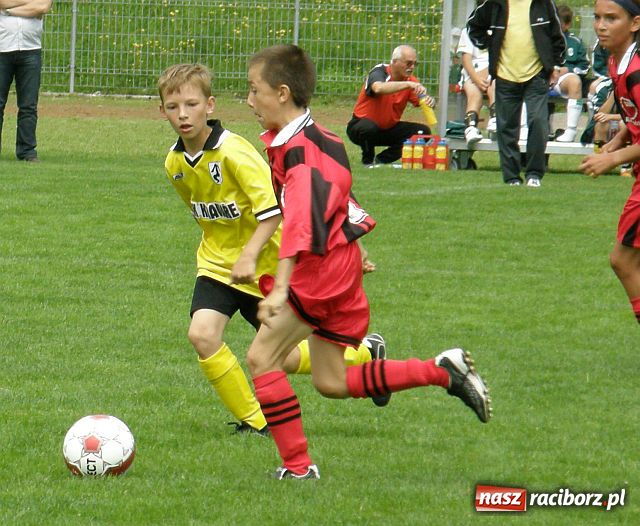 Zdjęcie w galerii na portalu naszraciborz.pl: Drużyna Fotbal Frydek - Mistek najlepsza wiadomości z regionu