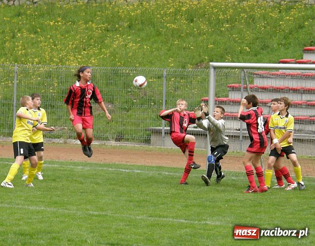 Zdjęcie w galerii na portalu naszraciborz.pl: Drużyna Fotbal Frydek - Mistek najlepsza wiadomości z regionu