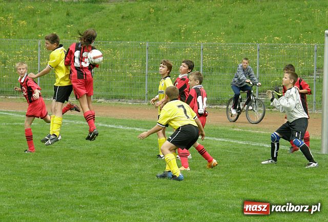 Zdjęcie w galerii na portalu naszraciborz.pl: Drużyna Fotbal Frydek - Mistek najlepsza wiadomości z regionu