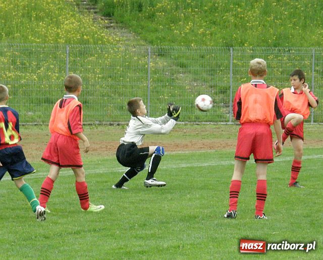 Zdjęcie w galerii na portalu naszraciborz.pl: Drużyna Fotbal Frydek - Mistek najlepsza wiadomości z regionu