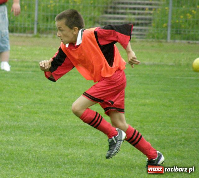 Zdjęcie w galerii na portalu naszraciborz.pl: Drużyna Fotbal Frydek - Mistek najlepsza wiadomości z regionu