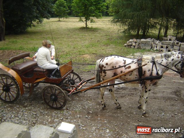 Zdjęcie w galerii na portalu naszraciborz.pl: Festyn mniejszości w Krowiarkach wiadomości z regionu