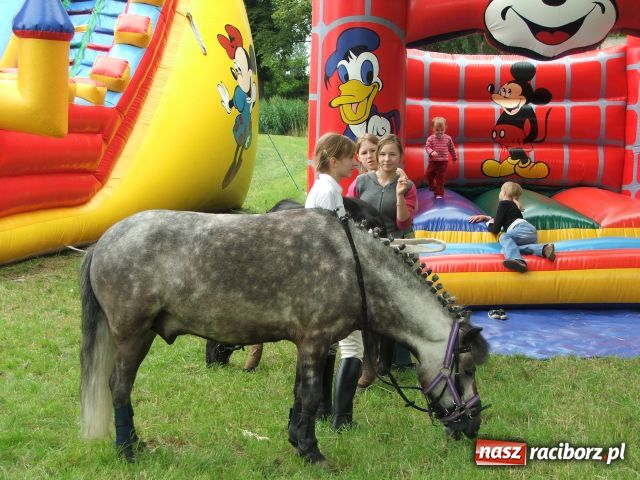 Zdjęcie w galerii na portalu naszraciborz.pl: Festyn mniejszości w Krowiarkach wiadomości z regionu