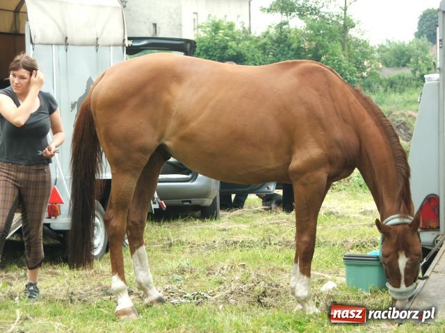 Zdjęcie w galerii na portalu naszraciborz.pl: Festyn mniejszości w Krowiarkach wiadomości z regionu