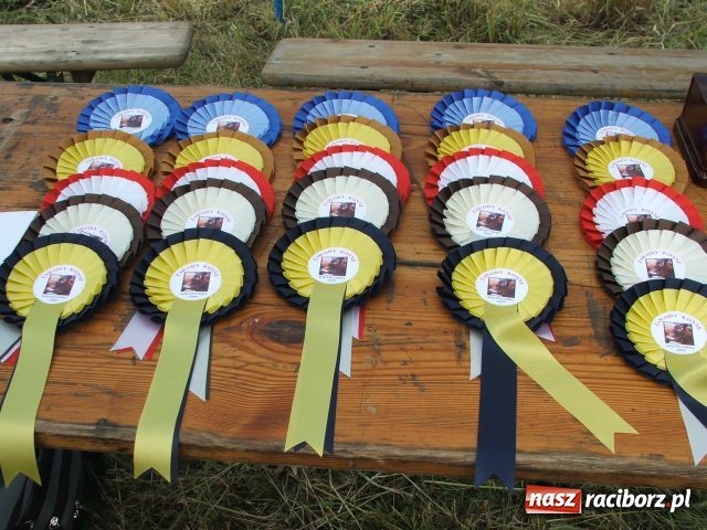 Zdjęcie w galerii na portalu naszraciborz.pl: Festyn mniejszości w Krowiarkach wiadomości z regionu