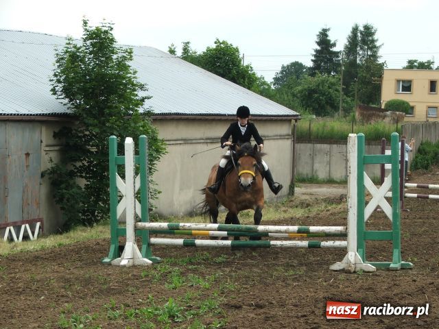 Zdjęcie w galerii na portalu naszraciborz.pl: Festyn mniejszości w Krowiarkach wiadomości z regionu