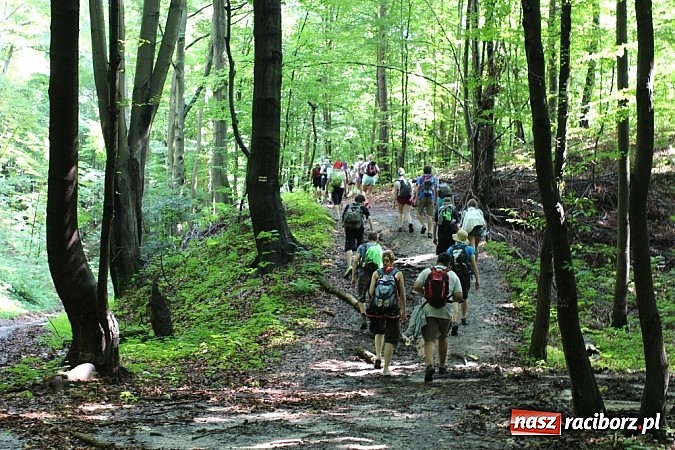 Zdjęcie w galerii na portalu naszraciborz.pl: Młodzież z Raciborza Szlakiem Orlich Gniazd  wiadomości z regionu
