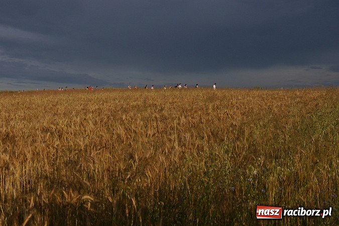 Zdjęcie w galerii na portalu naszraciborz.pl: Młodzież z Raciborza Szlakiem Orlich Gniazd  wiadomości z regionu