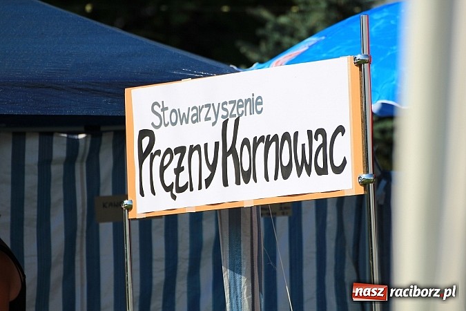 Zdjęcie w galerii na portalu naszraciborz.pl: Festyn sportowy i otwarcie placu zabaw wiadomości z regionu