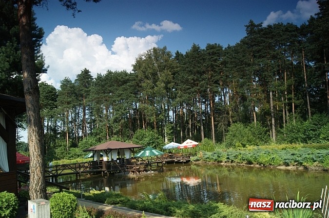 Zdjęcie w galerii na portalu naszraciborz.pl: Letni wypoczynek za miastem? Ośrodek Leśna Polana zaprasza wiadomości z regionu