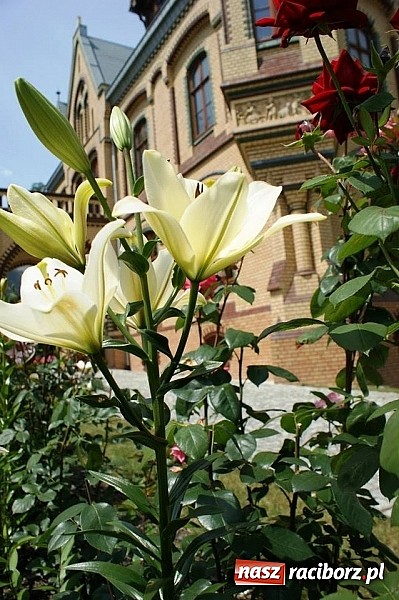 Zdjęcie w galerii na portalu naszraciborz.pl:  To były już 3. urodziny Restauracji Pałac Większyce wiadomości z regionu