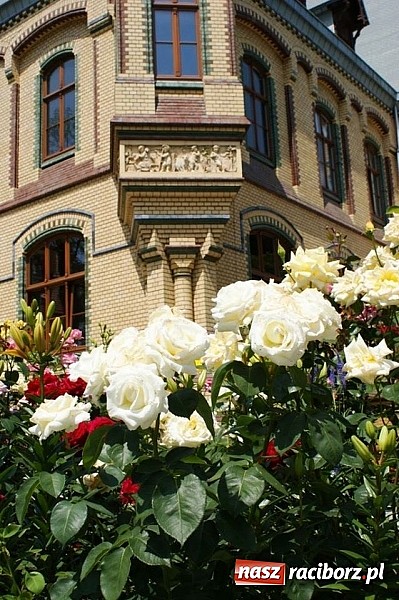 Zdjęcie w galerii na portalu naszraciborz.pl:  To były już 3. urodziny Restauracji Pałac Większyce wiadomości z regionu