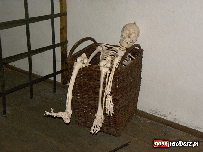 Zdjęcie w galerii na portalu naszraciborz.pl: Cueca, murale i Moai – zwiedzamy Chile! wiadomości z regionu