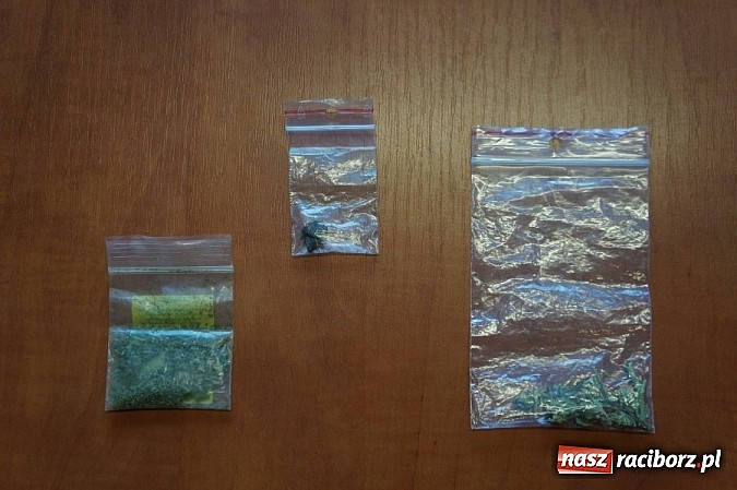 Zdjęcie w galerii na portalu naszraciborz.pl: W parku z narkotykami wiadomości z regionu