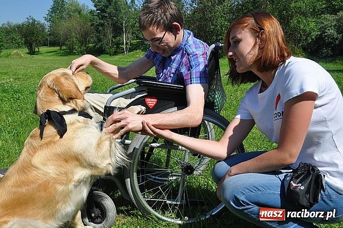 Zdjęcie w galerii na portalu naszraciborz.pl: Dogoterapia już teraz w Rybniku wiadomości z regionu