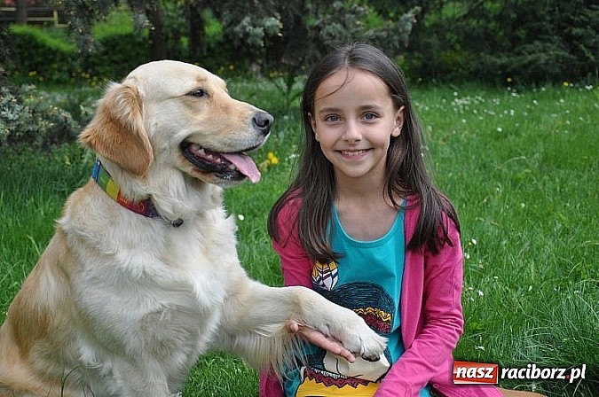 Zdjęcie w galerii na portalu naszraciborz.pl: Dogoterapia już teraz w Rybniku wiadomości z regionu