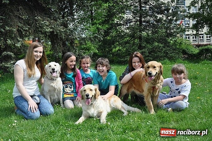 Zdjęcie w galerii na portalu naszraciborz.pl: Dogoterapia już teraz w Rybniku wiadomości z regionu