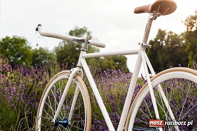 Zdjęcie w galerii na portalu naszraciborz.pl: Na rybę lub basen wybierz się rowerem! wiadomości z regionu