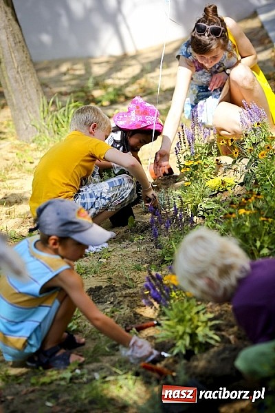 Zdjęcie w galerii na portalu naszraciborz.pl: Drugi ogólnopolski Wielki Dzień Pszczół 8 sierpnia  wiadomości z regionu