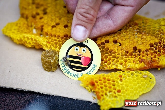 Zdjęcie w galerii na portalu naszraciborz.pl: Drugi ogólnopolski Wielki Dzień Pszczół 8 sierpnia  wiadomości z regionu