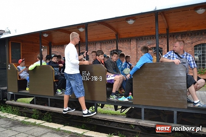 Zdjęcie w galerii na portalu naszraciborz.pl: Wspaniała zieleń i zabytki. Raciborszczyzna obala stereotypy!  wiadomości z regionu