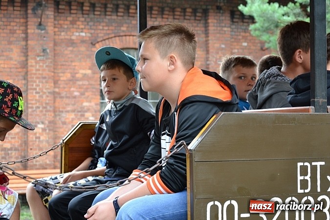 Zdjęcie w galerii na portalu naszraciborz.pl: Wspaniała zieleń i zabytki. Raciborszczyzna obala stereotypy!  wiadomości z regionu