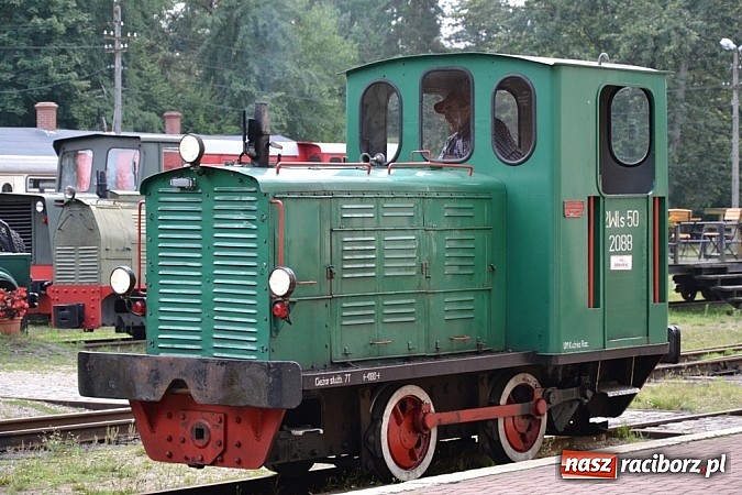 Zdjęcie w galerii na portalu naszraciborz.pl: Wspaniała zieleń i zabytki. Raciborszczyzna obala stereotypy!  wiadomości z regionu