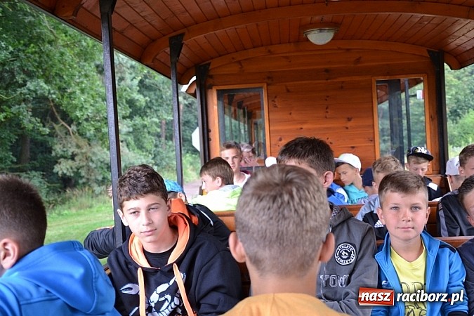 Zdjęcie w galerii na portalu naszraciborz.pl: Wspaniała zieleń i zabytki. Raciborszczyzna obala stereotypy!  wiadomości z regionu