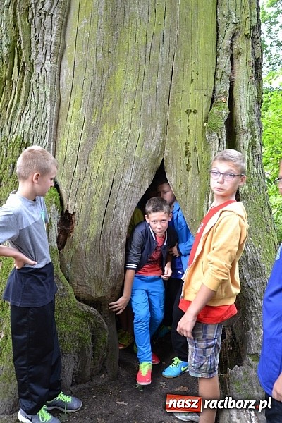 Zdjęcie w galerii na portalu naszraciborz.pl: Wspaniała zieleń i zabytki. Raciborszczyzna obala stereotypy!  wiadomości z regionu