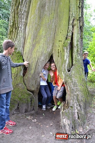 Zdjęcie w galerii na portalu naszraciborz.pl: Wspaniała zieleń i zabytki. Raciborszczyzna obala stereotypy!  wiadomości z regionu