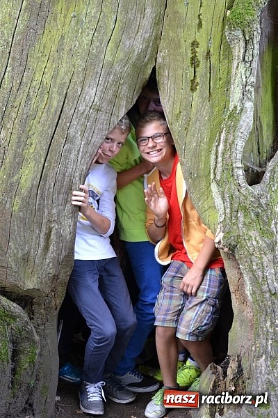 Zdjęcie w galerii na portalu naszraciborz.pl: Wspaniała zieleń i zabytki. Raciborszczyzna obala stereotypy!  wiadomości z regionu