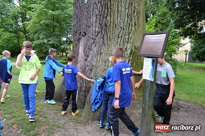 Zdjęcie w galerii na portalu naszraciborz.pl: Wspaniała zieleń i zabytki. Raciborszczyzna obala stereotypy!  wiadomości z regionu