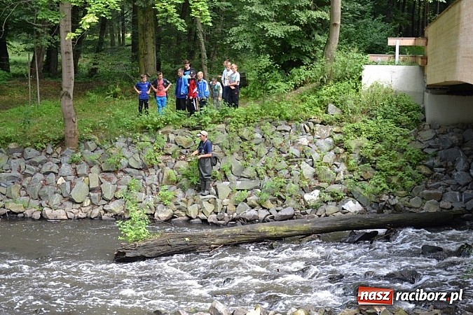 Zdjęcie w galerii na portalu naszraciborz.pl: Wspaniała zieleń i zabytki. Raciborszczyzna obala stereotypy!  wiadomości z regionu