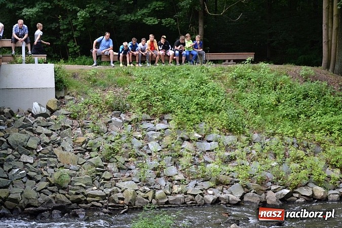 Zdjęcie w galerii na portalu naszraciborz.pl: Wspaniała zieleń i zabytki. Raciborszczyzna obala stereotypy!  wiadomości z regionu