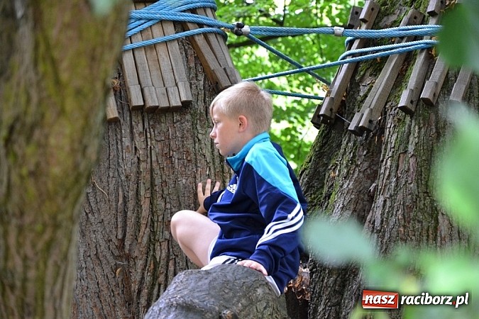 Zdjęcie w galerii na portalu naszraciborz.pl: Wspaniała zieleń i zabytki. Raciborszczyzna obala stereotypy!  wiadomości z regionu