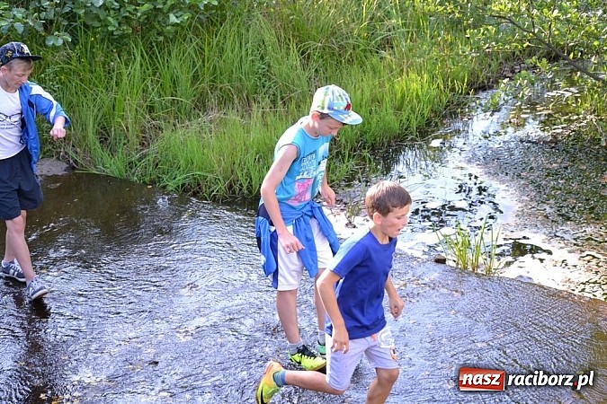 Zdjęcie w galerii na portalu naszraciborz.pl: Wspaniała zieleń i zabytki. Raciborszczyzna obala stereotypy!  wiadomości z regionu